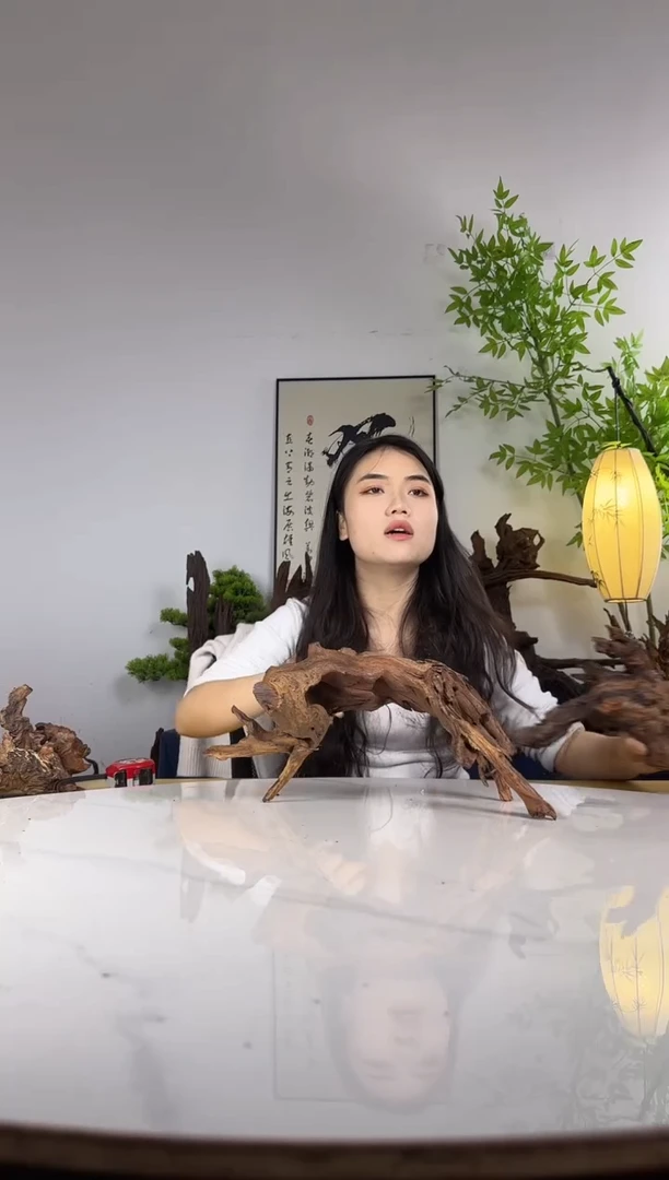 虎*?拍这个定向编号38