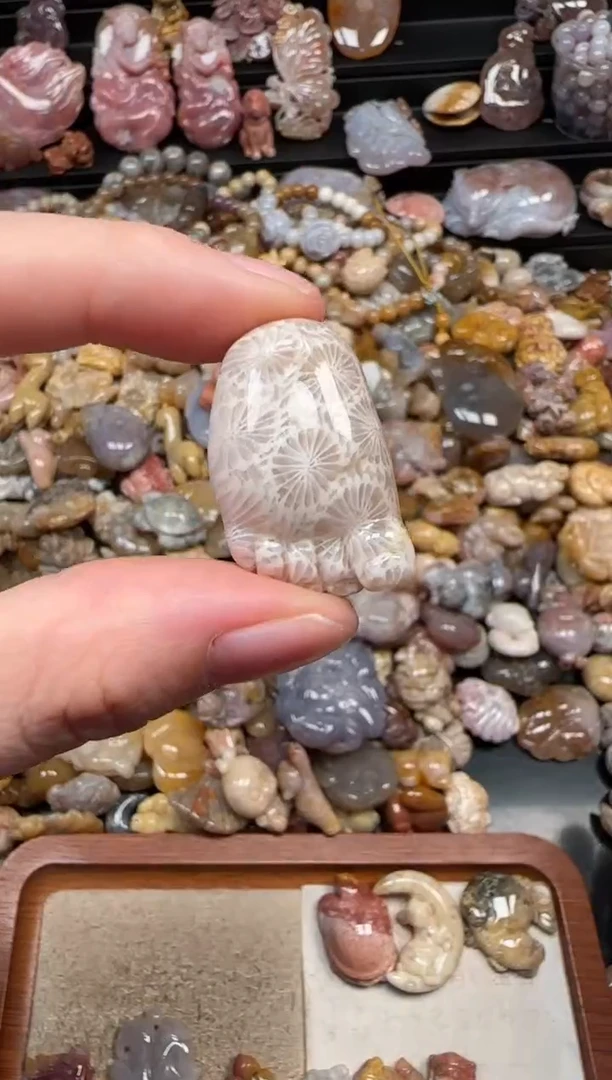 颈饰未镶嵌硅化珊瑚（珊瑚玉）185