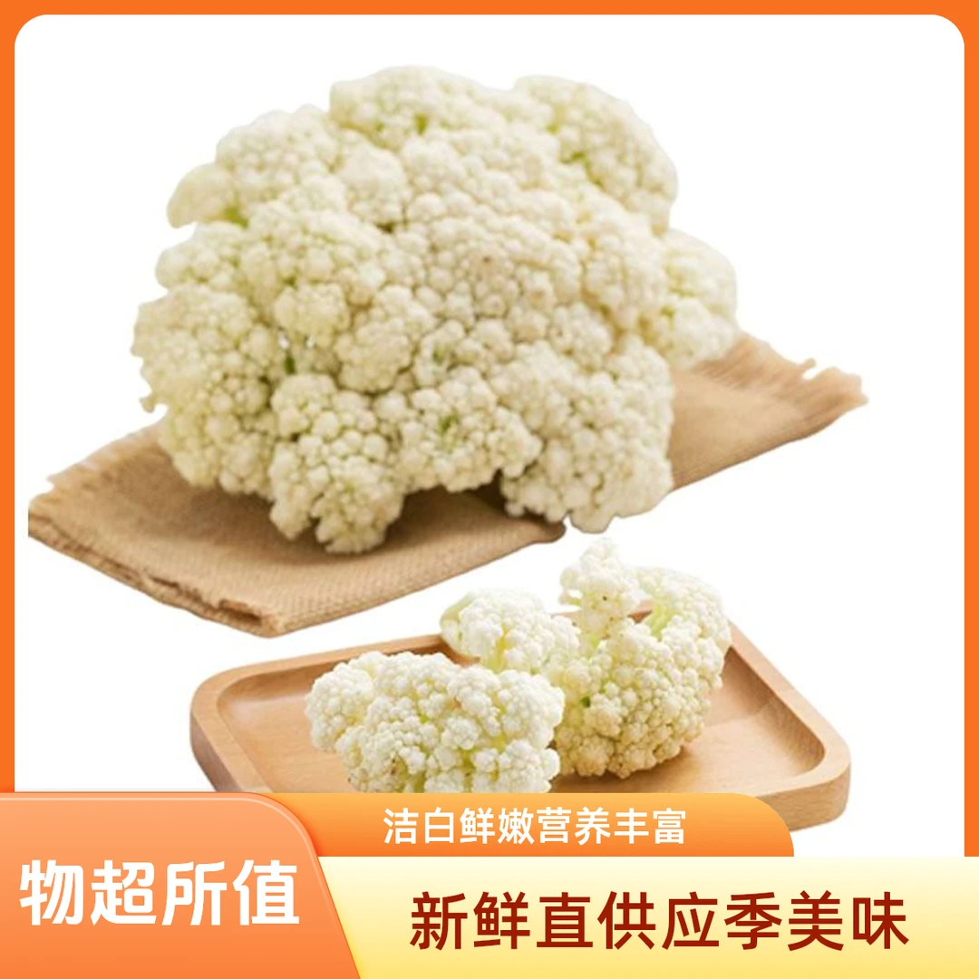 山东新鲜白散花1000克