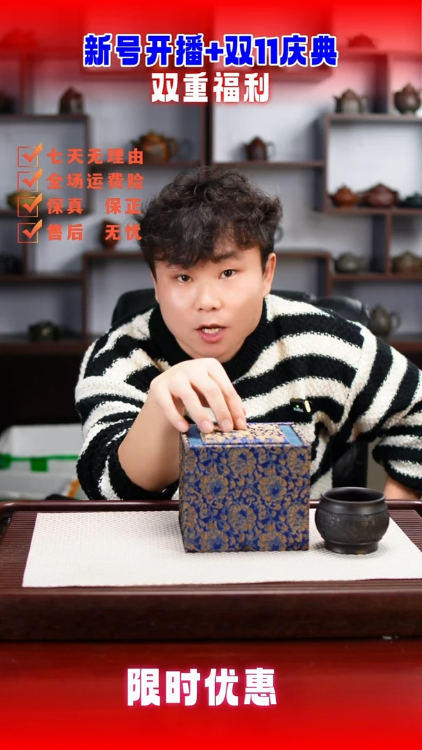 茶壶紫砂15564654564