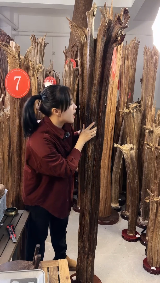 【闪购商品】沉香摆件沉香摆件多样性发一件44