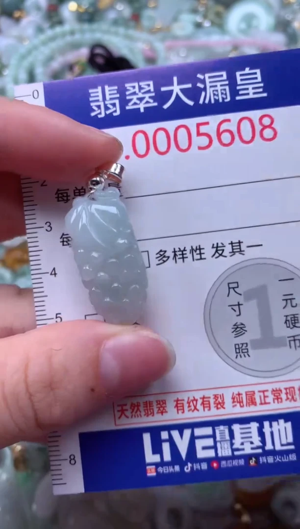 翡翠未镶嵌颈饰5608