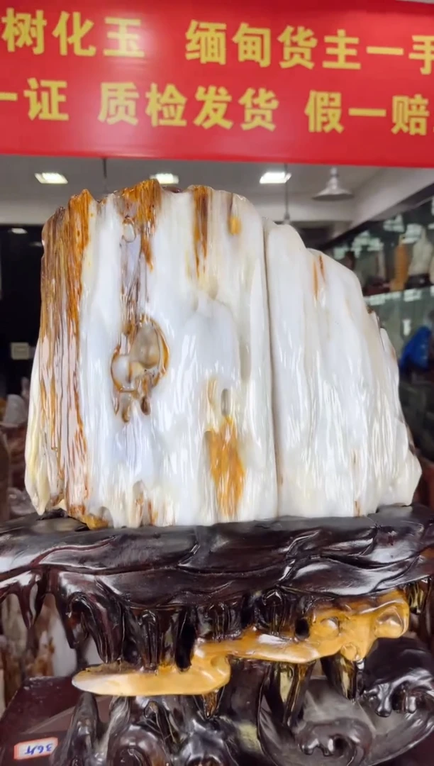 【闪购商品】硅化玉珠宝奇石未镶嵌缅甸天然树化玉