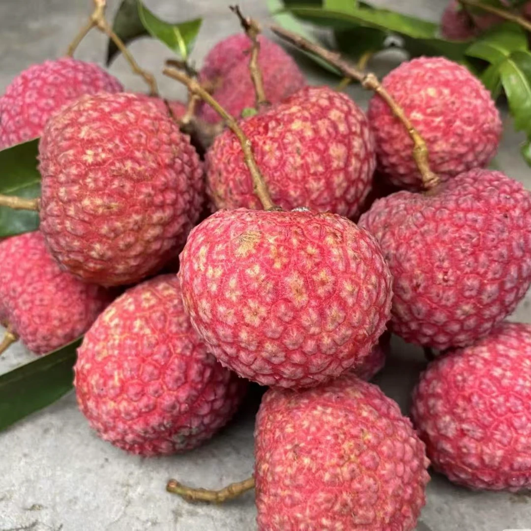 【顺丰冷链包邮】鸡嘴荔枝广东茂名高州老树荔枝新鲜采摘现发原产地