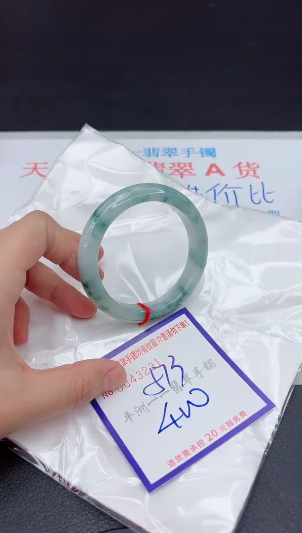 未镶嵌手镯翡翠111111
