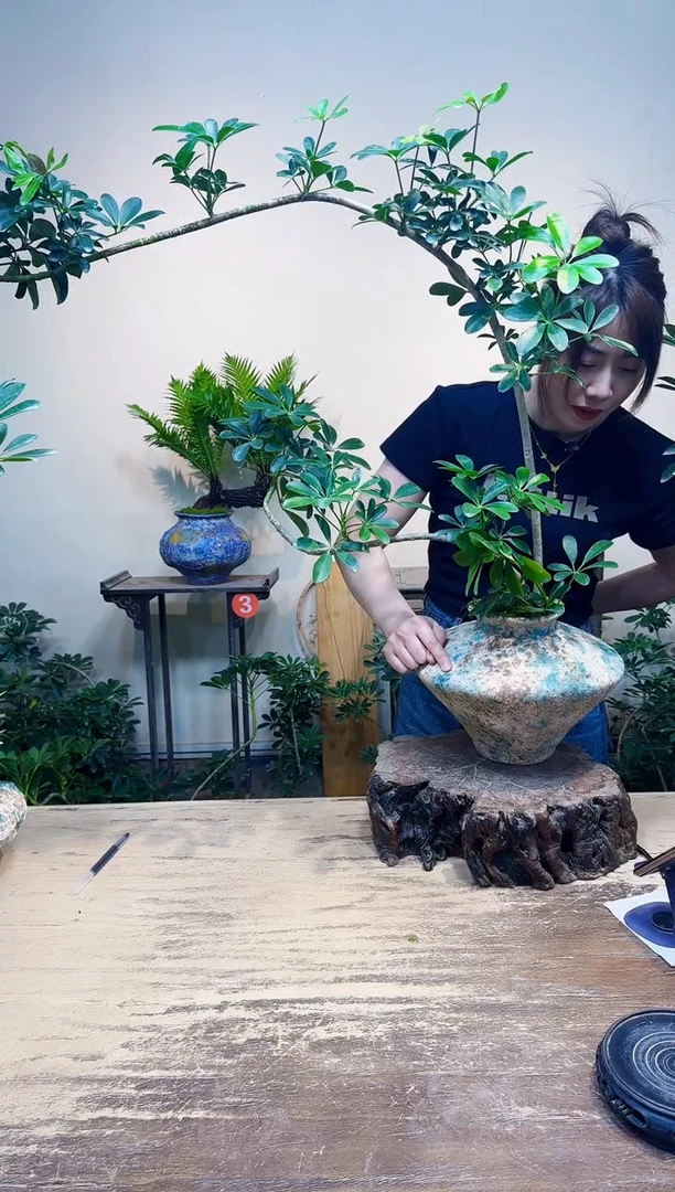 无花朵冰****^优惠价优惠就458