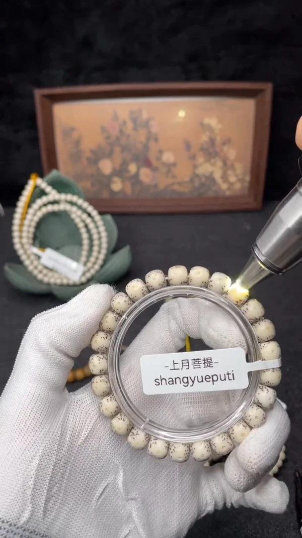 手串星月菩提C2-9X8单圈-D04
