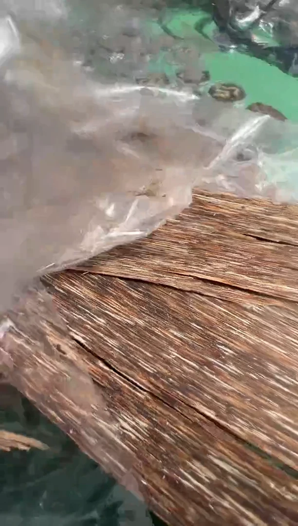 【闪购商品】沉香沉香香囊芽庄香片10克