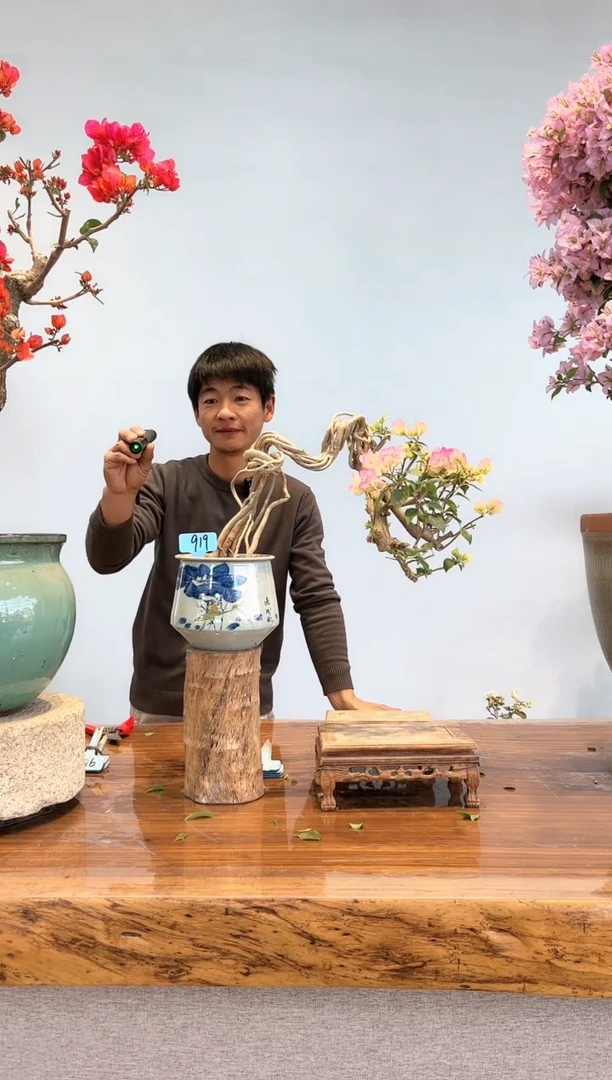 【闪购商品】aa919