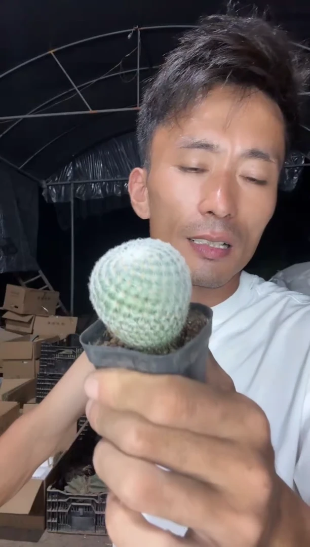 无名丸一棵 9.99