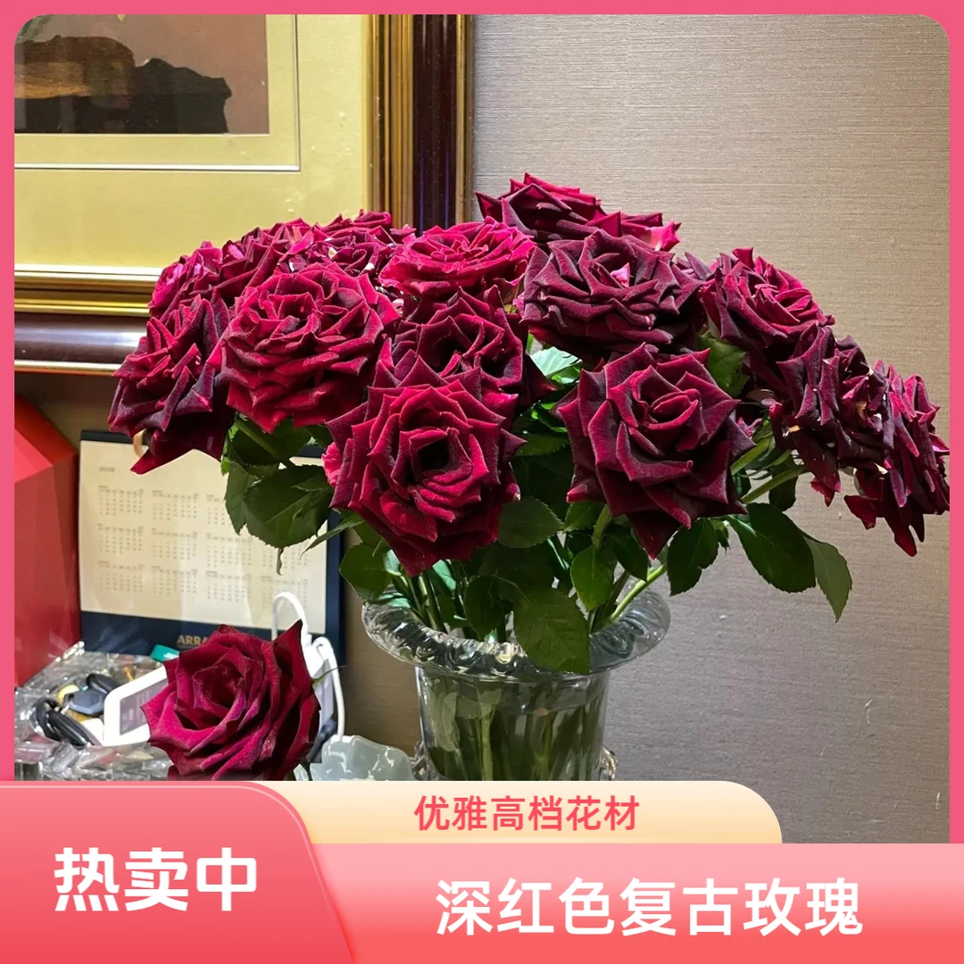 【专享·丽江】黑巴克玫瑰10枝 云南鲜花任意花材两单顺丰空运