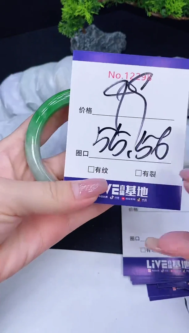 未镶嵌手镯翡翠12298