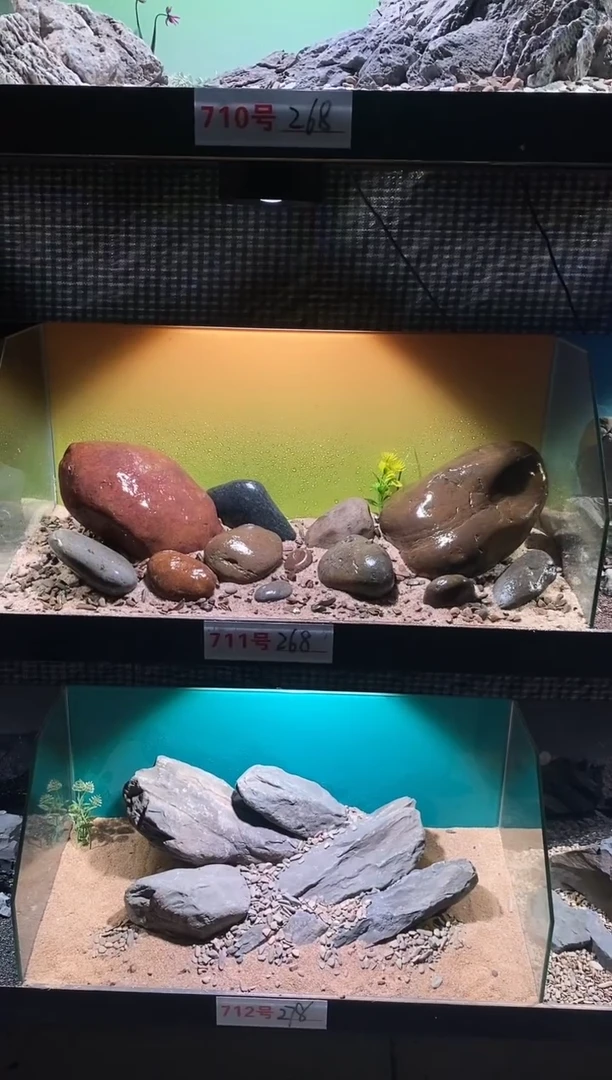 711号鱼缸造景（不含底砂）