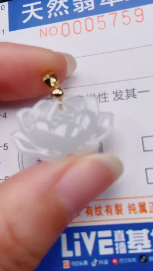 颈饰未镶嵌翡翠00005759