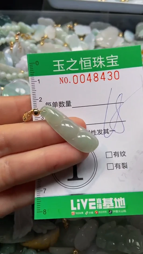 【闪购商品】翡翠颈饰未镶嵌闪购0048430