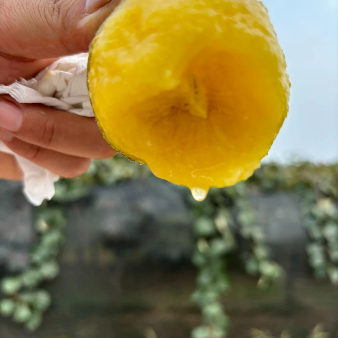 （5斤果王18粒130-150g）农大金猕，京东快递，爆甜来袭