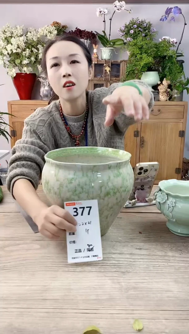 小玩子花盆直播编号377