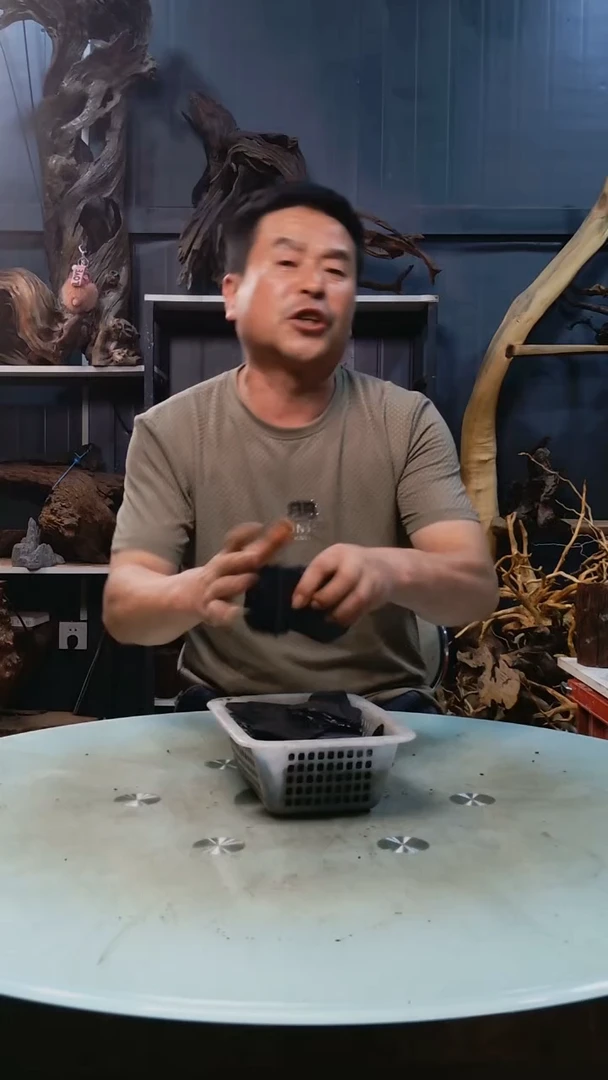 随机发货一筐黑片3.5