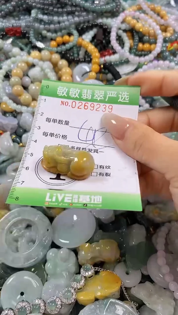 翡翠未镶嵌颈饰闪购0269239多样性发其一