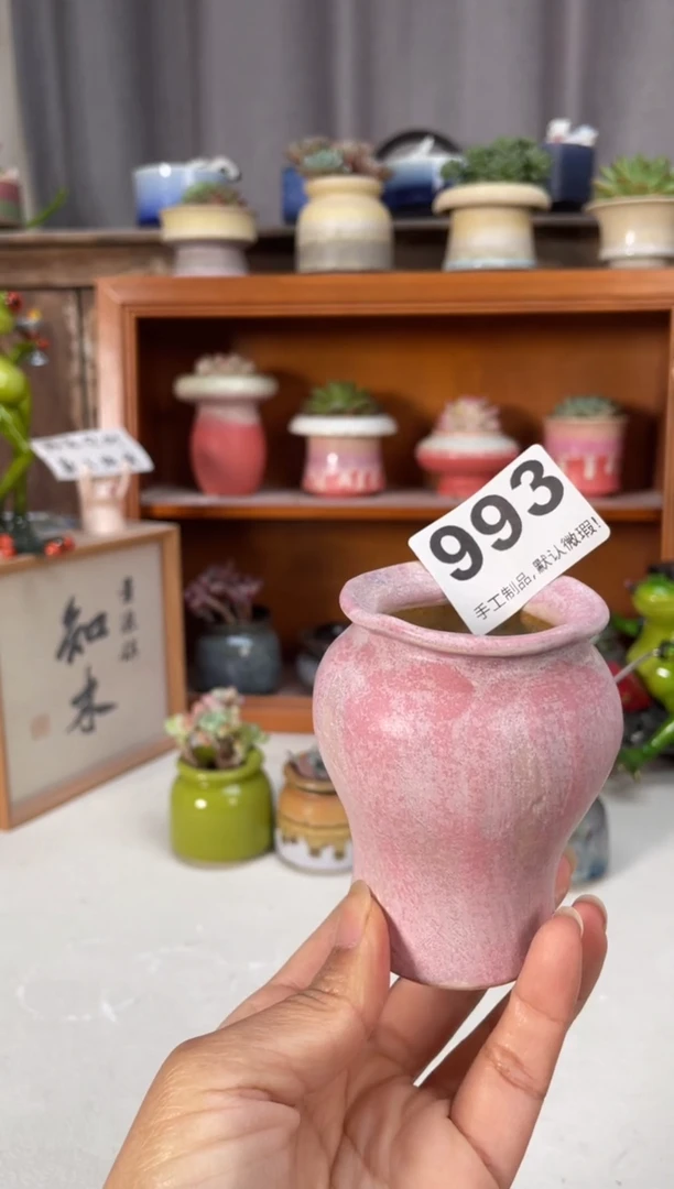 瓷片993小芳直播编号