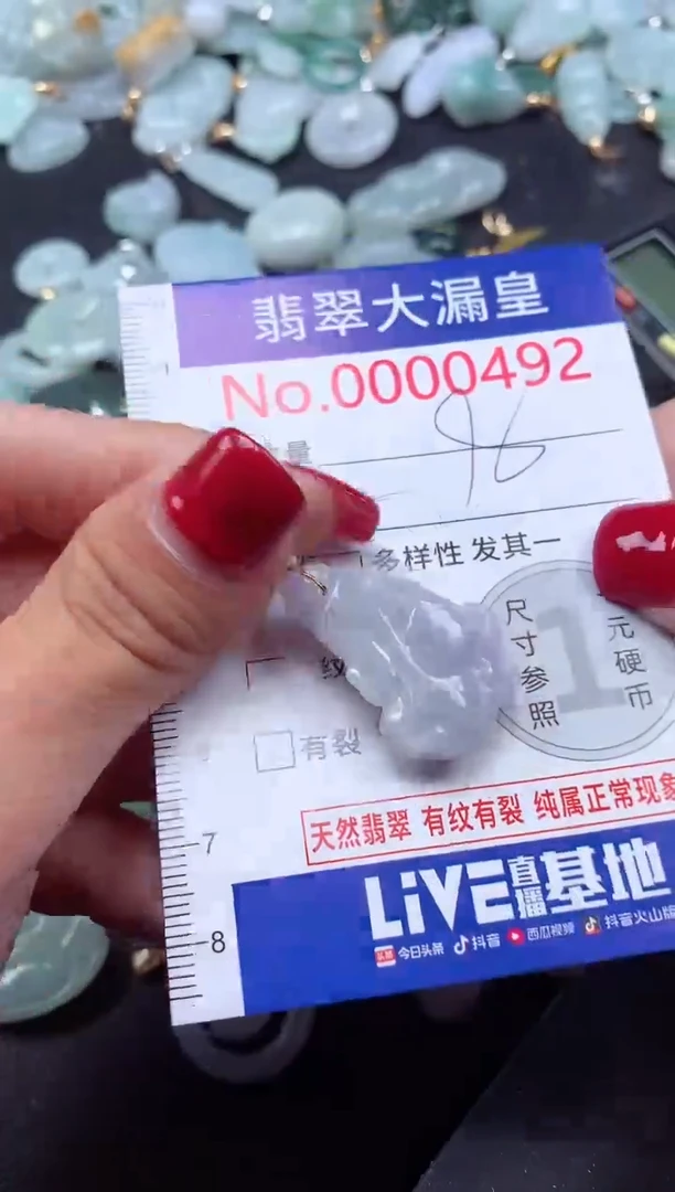 颈饰未镶嵌翡翠492