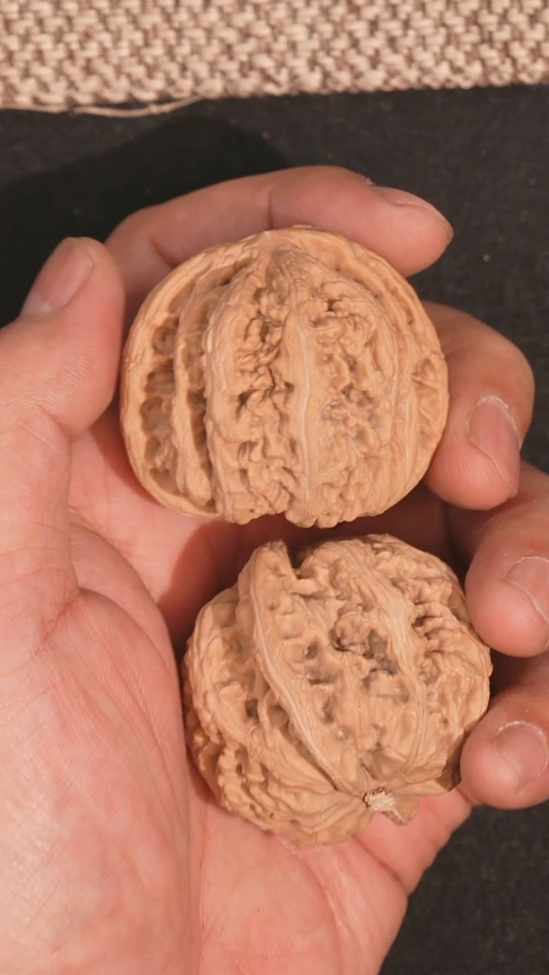 【闪购商品】文玩核桃把件粗筋48全品