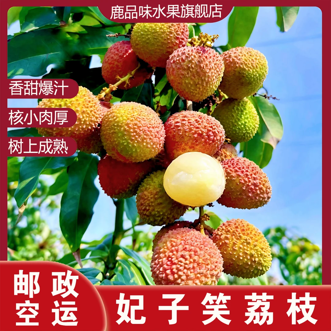 鹿品味正宗广东茂名高州妃子笑荔枝核小肉厚香甜多汁新鲜水果空运
