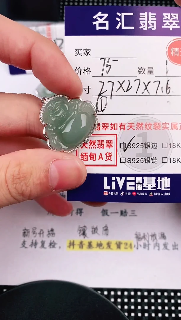 翡翠银S925镶嵌颈饰·