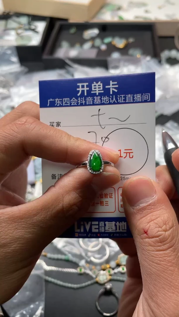 颈饰未镶嵌翡翠t****?挂件