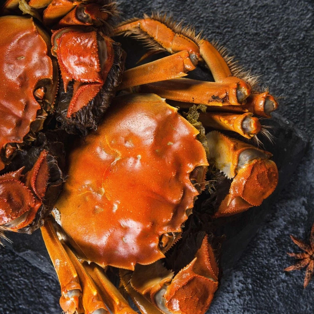 【活蟹现发】苏州精品大闸蟹公蟹5两 母蟹4两 8只+2只到手10只