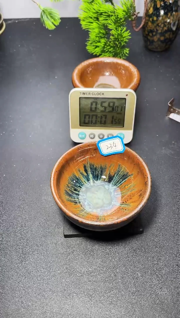茶盏234叶紫建盏