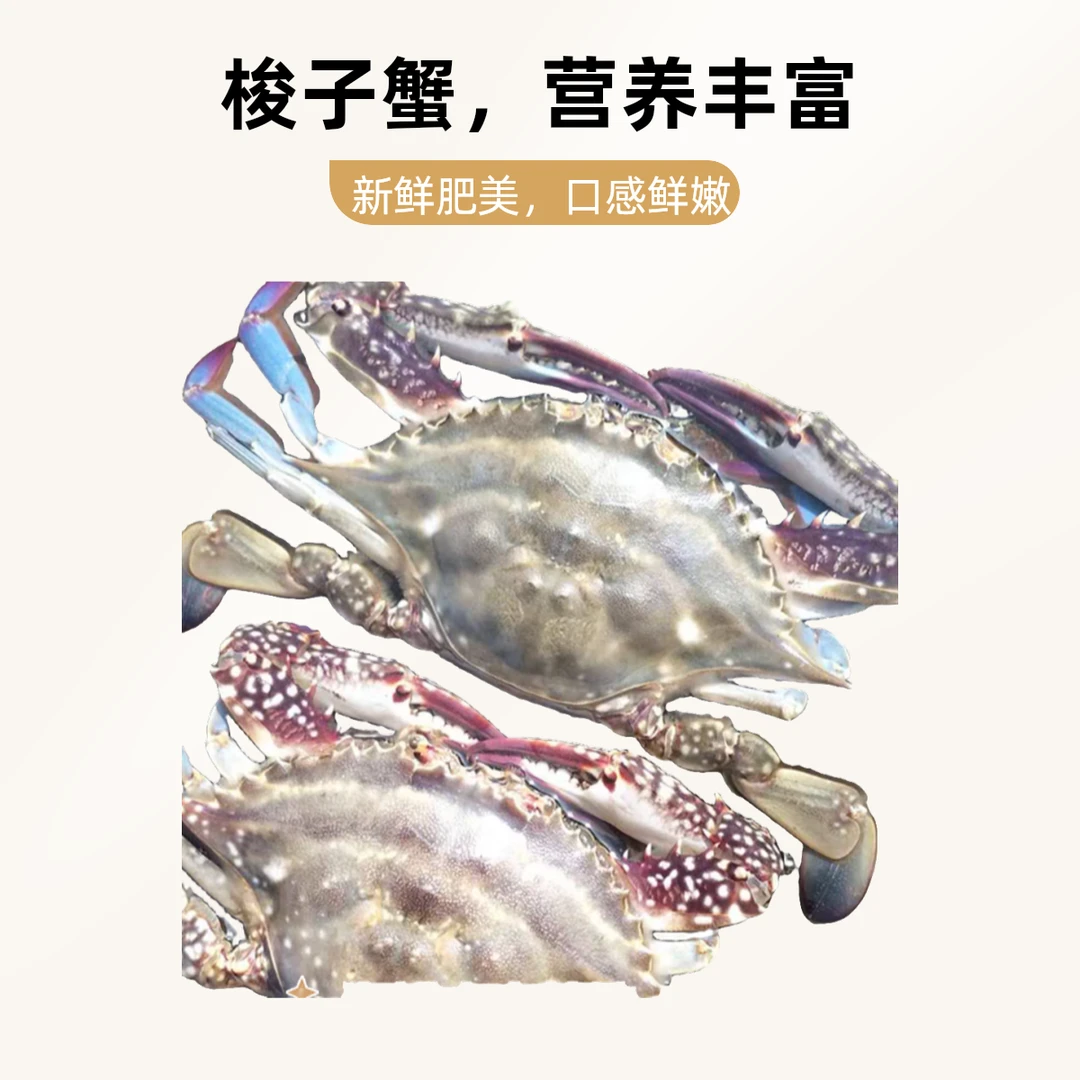 【保鲜不保活】渤海湾梭子蟹3-5斤3-5两/只 6-15只/份，公母随机介意勿拍