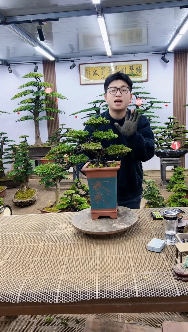 【闪购商品】000000