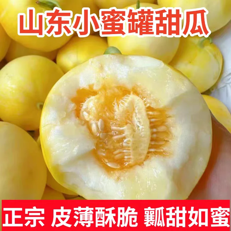 【顺丰京东包邮】小蜜蜂甜瓜香甜蜜罐甜瓜脆爽爆汁新鲜香瓜2/5斤