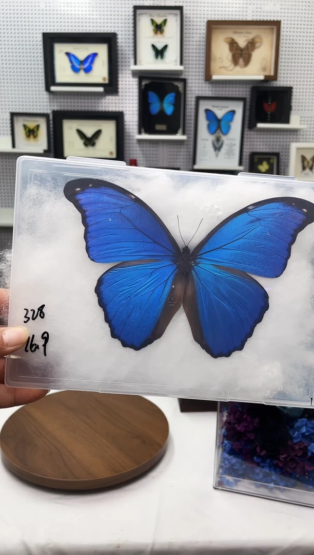 玻璃竖款白底横版16.9