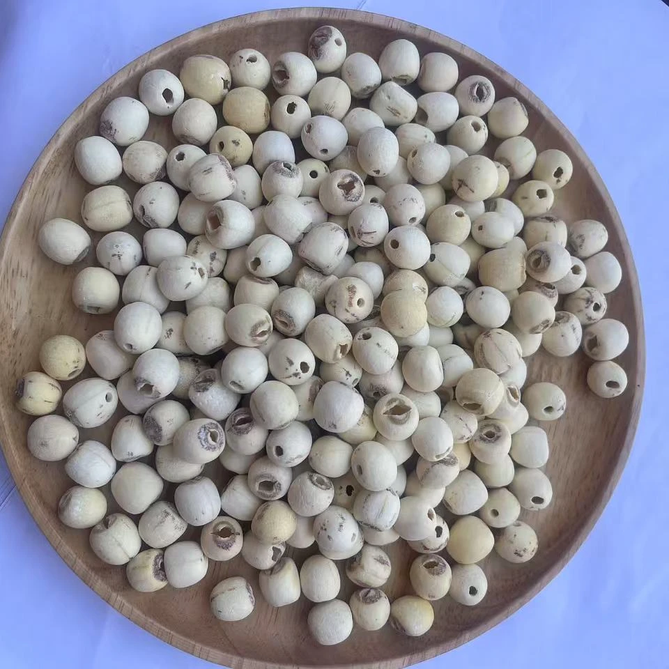 湖南农家种植无硫去芯白莲子粉糯可炖汤煮粥特产