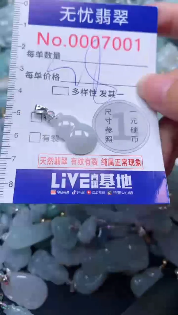 颈饰未镶嵌翡翠7001
