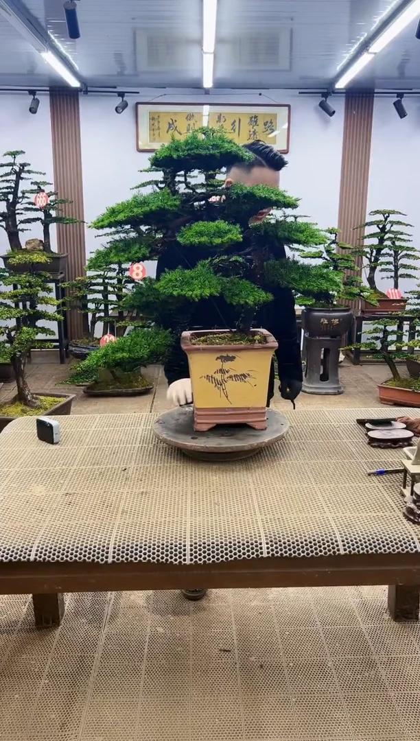 【闪购商品】0000000000