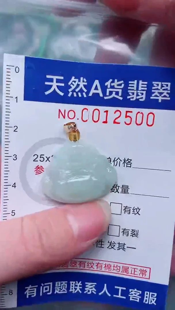 翡翠未镶嵌吊坠(赠链)1