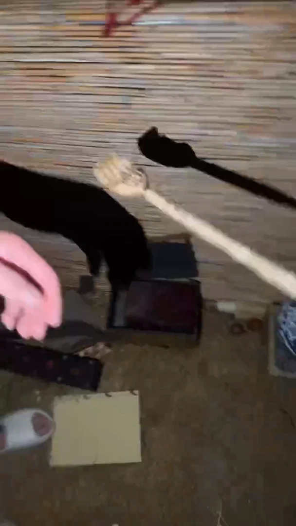 香榧木木 手挠====