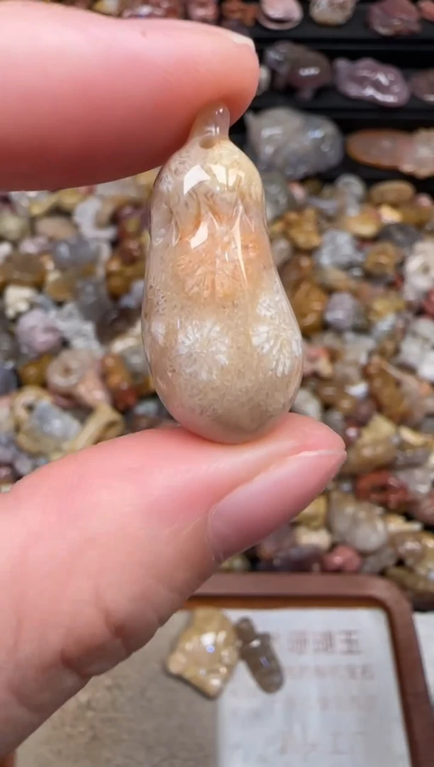 颈饰未镶嵌硅化珊瑚（珊瑚玉）203