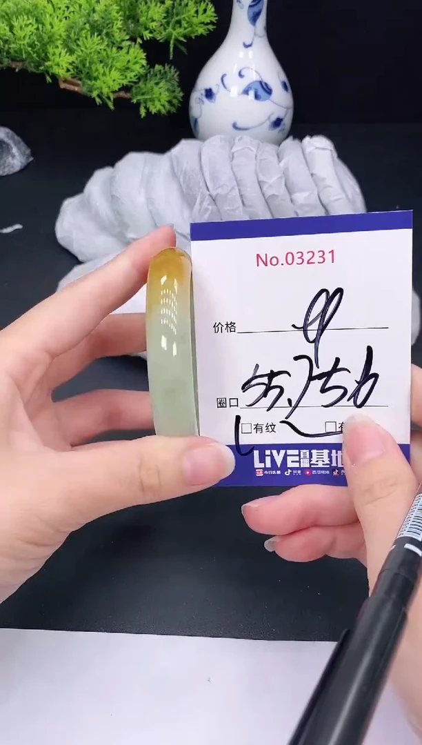 未镶嵌手镯翡翠3231