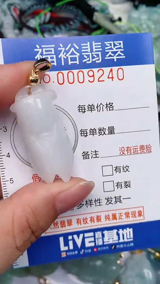 翡翠未镶嵌颈饰...0009240