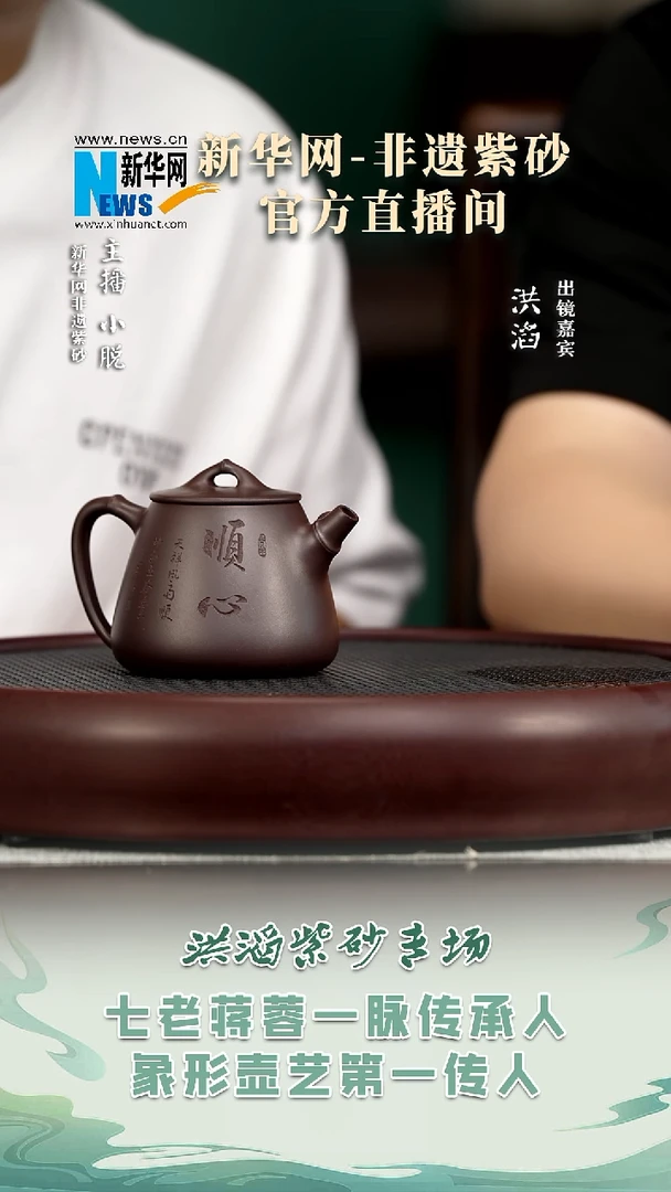 茶壶紫砂HT1 洪滔 高石瓢紫茄泥220c