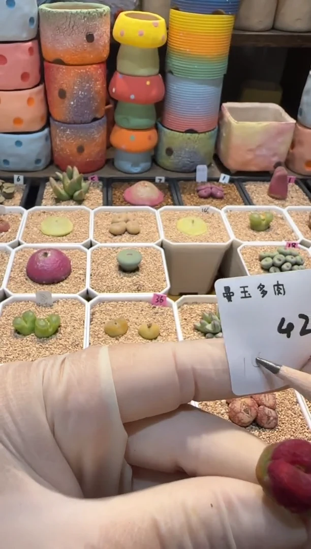 【闪购商品】25.1.19-42淼淼淼