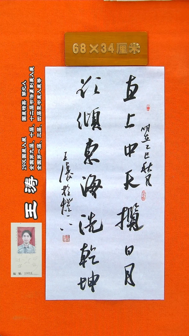 书法25a王涛书法作品