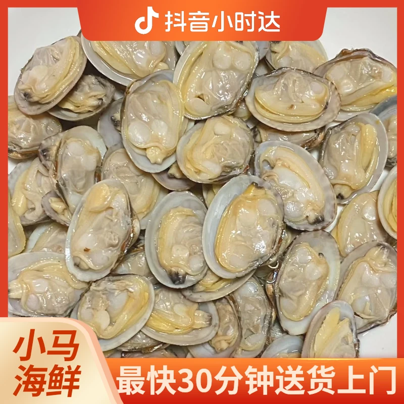 小花蛤3斤可加工自己看吧，咱家这贝类啥品质，太气人
