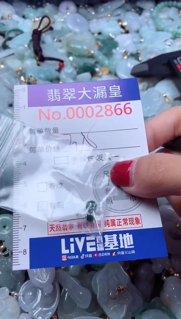 颈饰未镶嵌翡翠2866