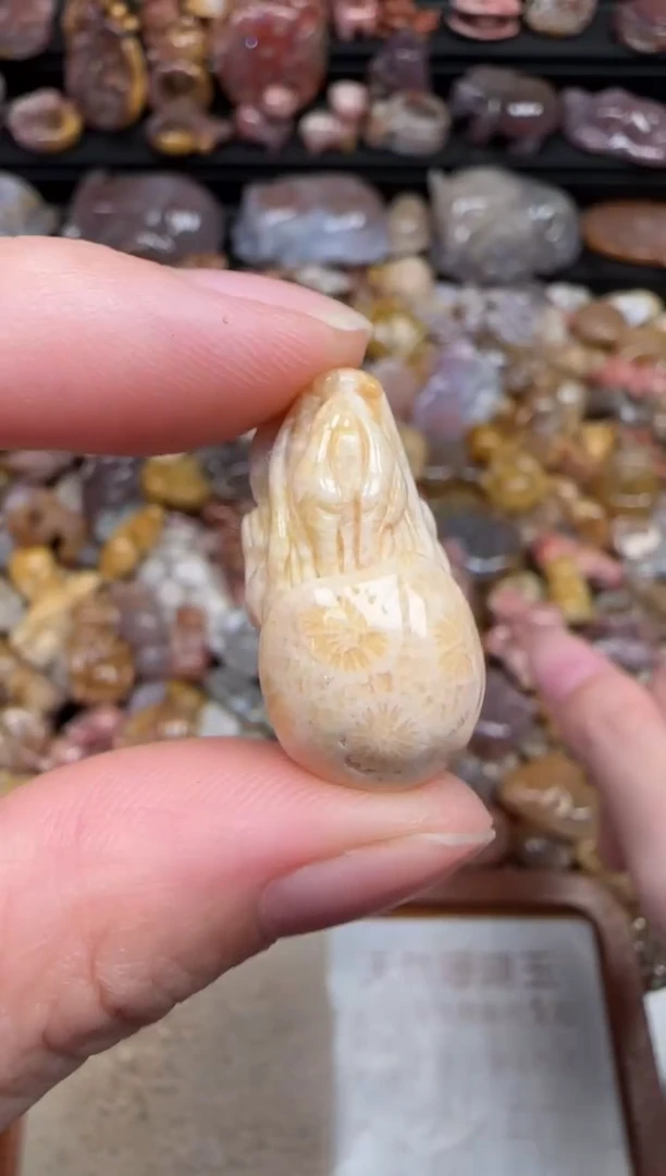 颈饰未镶嵌硅化珊瑚（珊瑚玉）317