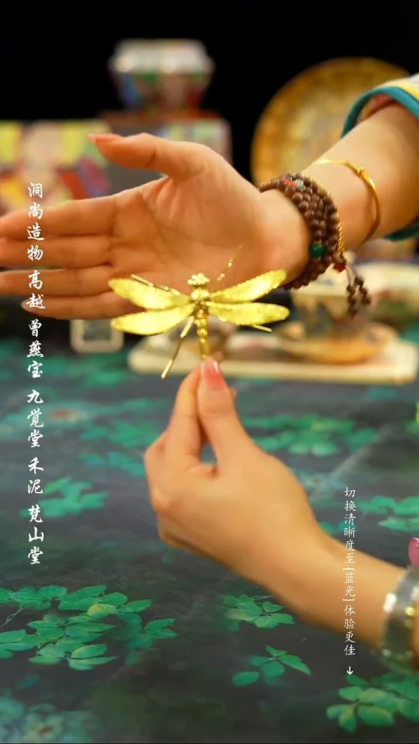 【闪购商品】小蜻蜓·············